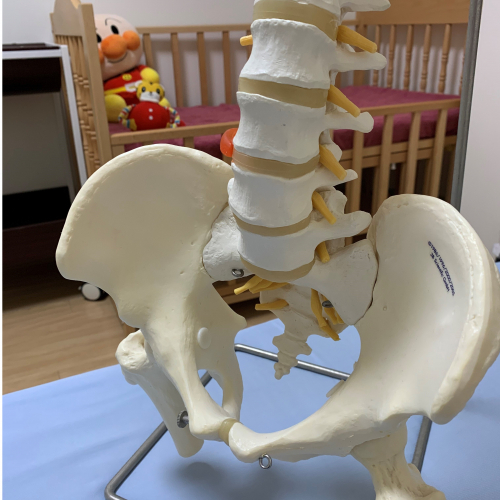 ◎産後骨盤矯正ベーシックコース